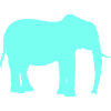 Elefant Silhouette Neon Cyan