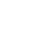 Nautilus Spirale Linienkunst