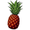 Tropic Pineapple