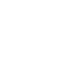 Fuchs Polarfuchs – Mystisches Tier Symbol