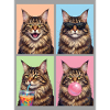 Katzen Maine Coon Katze