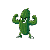 Spreewald Power Gurke