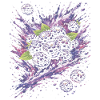 Brombeeren Wildfrucht Schwarze Spritzkunst