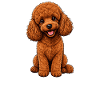 Pudel Punk