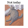 Not today Katze