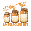 Lactobacillus Life Jars