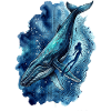 Deep Blue Odyssey Humpback & Freedive