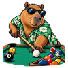 Süßes Capybara beim Billard