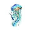 Jellyfish Dive Art