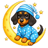 Gute Nacht Dackel