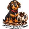 Ich war das nicht – Dackel Fußball
