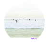 Surfer-Silhouette