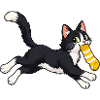 Sockendieb-Katze auf der Flucht