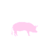 Schweinescheiben Kanada-Witz