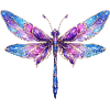 Drachenfliege Farbenspiel