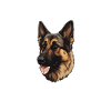 Treuer Deutscher Schäferhund
