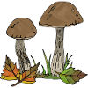 Pilze