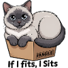 Fragiles Katzen-im-Box-Meme