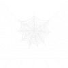 Spiderweb Tunnel Perspektive