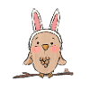 Vogel als Hase verkleidet
