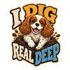 Kavallerier King Charles Spaniel