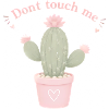 Don't touch me - Pastell Sukkulente