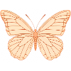 Pfirsich Schmetterling Konturdesign