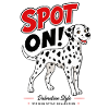 Genau richtig! Dalmatierer – Dalmatinischer Stil