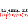 Nur einmal mit Profis arbeiten