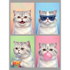 Katzen Perser Katze