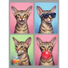 Katzen Orientalisch Kurzhaar Katze