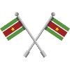 Surinam-Flagge