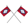 Arkansas-Flagge