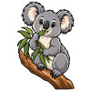 Süßer Koala beim Eukalyptus Essen