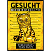 Graffiti Katze Gesucht