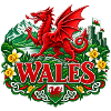 Welsh Dragon Crest Blumenerbe