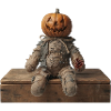 Kürbiskopf Ragdoll