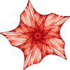 Roter Seestern
