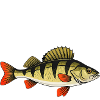 Leck Mich Am Barsch