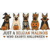 Belgische Malinois Halloween-Crew