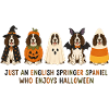 Halloween English Springer Spaniel