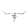 Southern Rock
