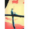 Poster Katta Lemur