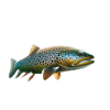 Forelle fischen