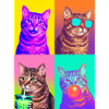 Katzen Pixie-Bob Katze