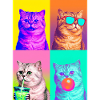 Katzen Perser Katze