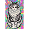 Katze