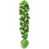 Grüner Zopf mit Kräutern