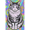Katze