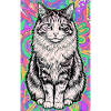 Katze